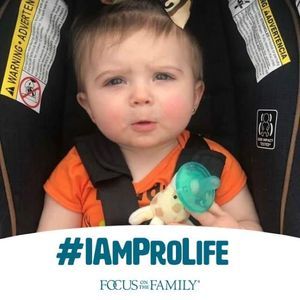 Meet your Posher, Doris